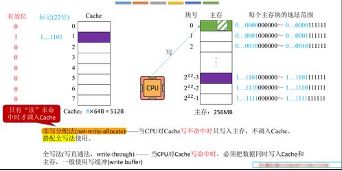 計算機組成原理之存儲系統(tǒng) Cache寫策略